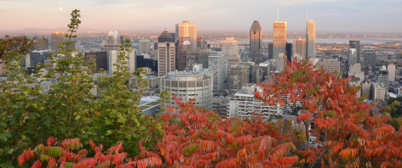 Image de l'article Le Québec attire les investisseurs étrangers : opportunité ou compétition ?