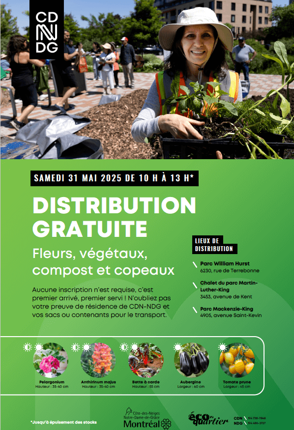 Image de l'article Distribution annuelle de fleurs, végétaux, compost et copeaux à CDN-NDG