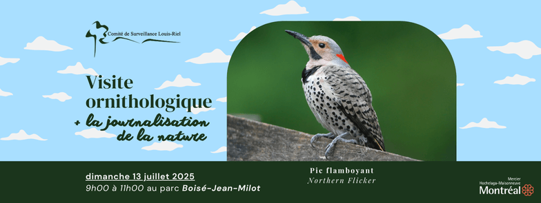 Image de l'article Visite ornithologique  + journal d’oiseaux