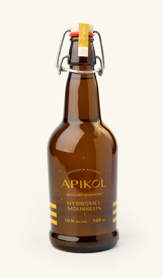 Image de l'article Hydromel mousseux