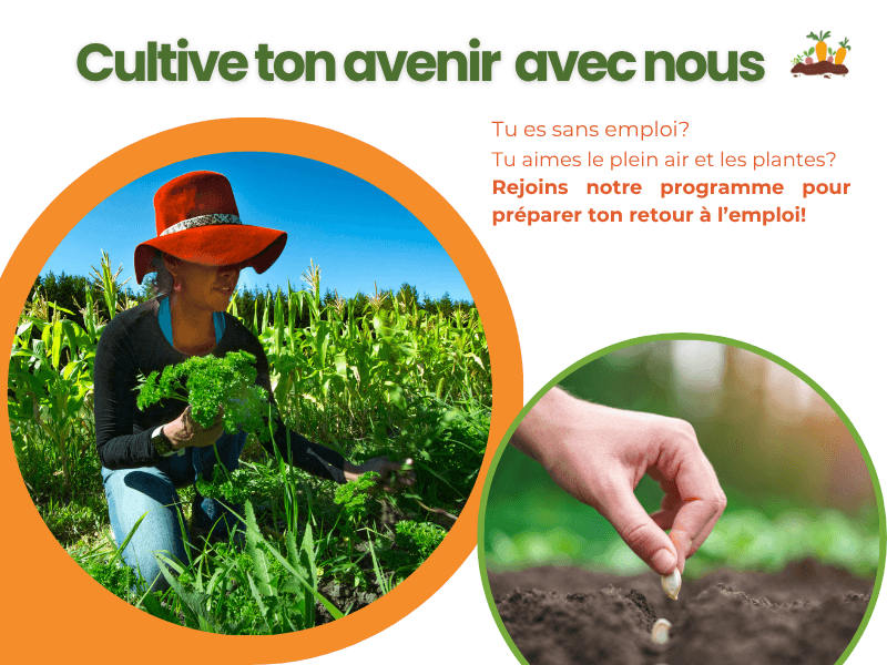 Image de l'article Programme préparatoire à l’emploi – Lévis