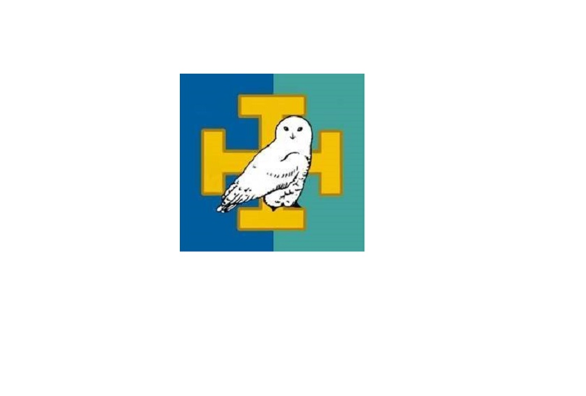 Logo de 22e groupe scout Harfang des neiges