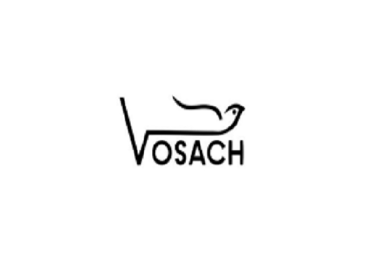 Logo de Volontaires de la sensibilisation et de l’action humanitaire (VOSACH) (Les)