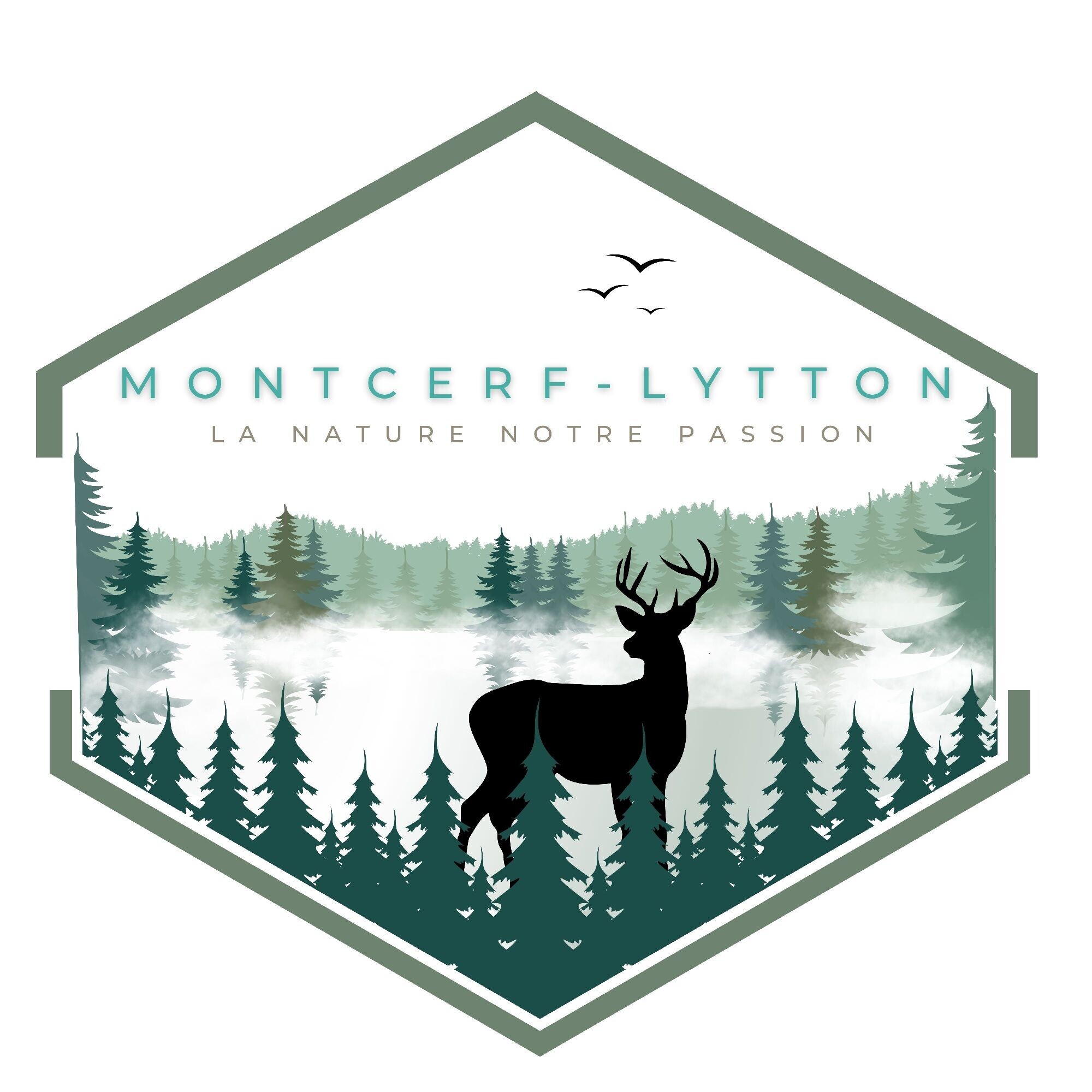 Logo de Municipalité de Montcerf-Lytton