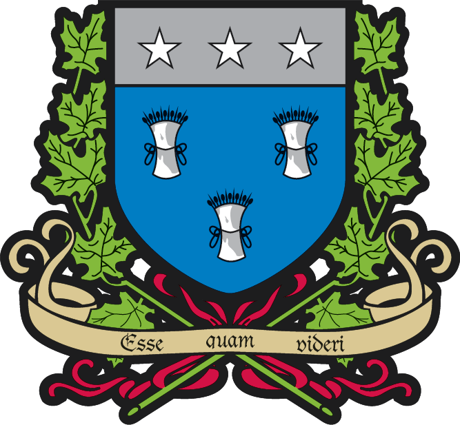 Logo de Ville de Napierville