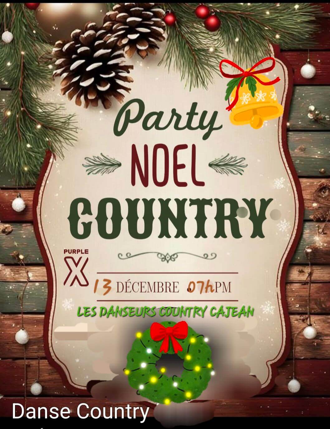 Image de l'article Party de Noël country