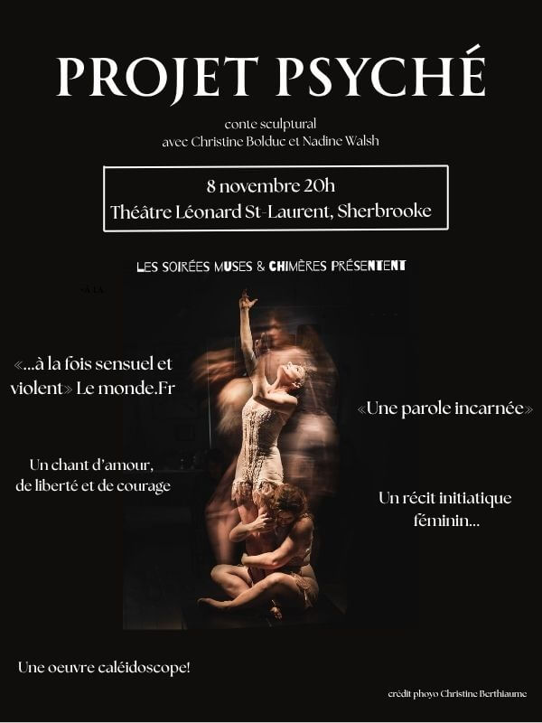 Image de l'article Projet Psyché