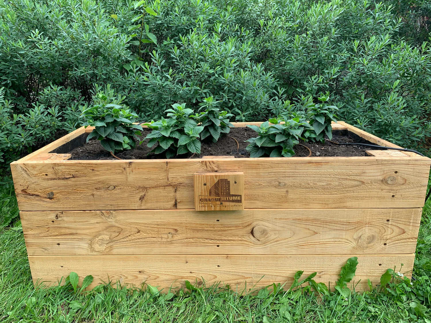 Image de l'article Bac à jardinage en bois au sol