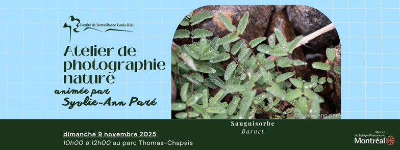 Image de l'article Atelier de photographie nature