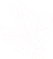 Logo de La Troupe V’là l’bon vent