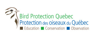 Logo de Protection des Oiseaux du Québec