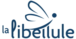 Logo de Libellule, pour les Personnes Vivant Avec une Déficience Intellectuelle et le Spectre de l’Autisme Adulte et leurs Proches
