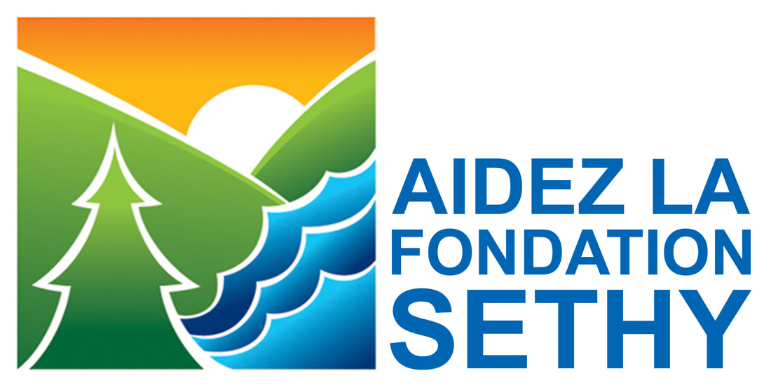 Logo de Fondation pour la sauvegarde des écosystèmes du territoire de la Haute-Yamaska