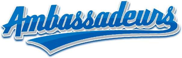 Logo de Association de baseball mineur Desjardins
