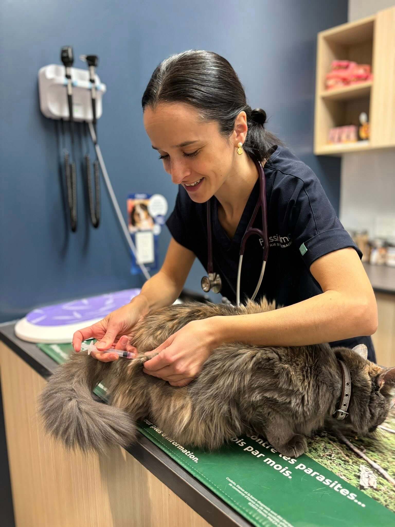Image de l'article Une clinique engagée qui change des vies : quand la médecine vétérinaire se met au service de la solidarité