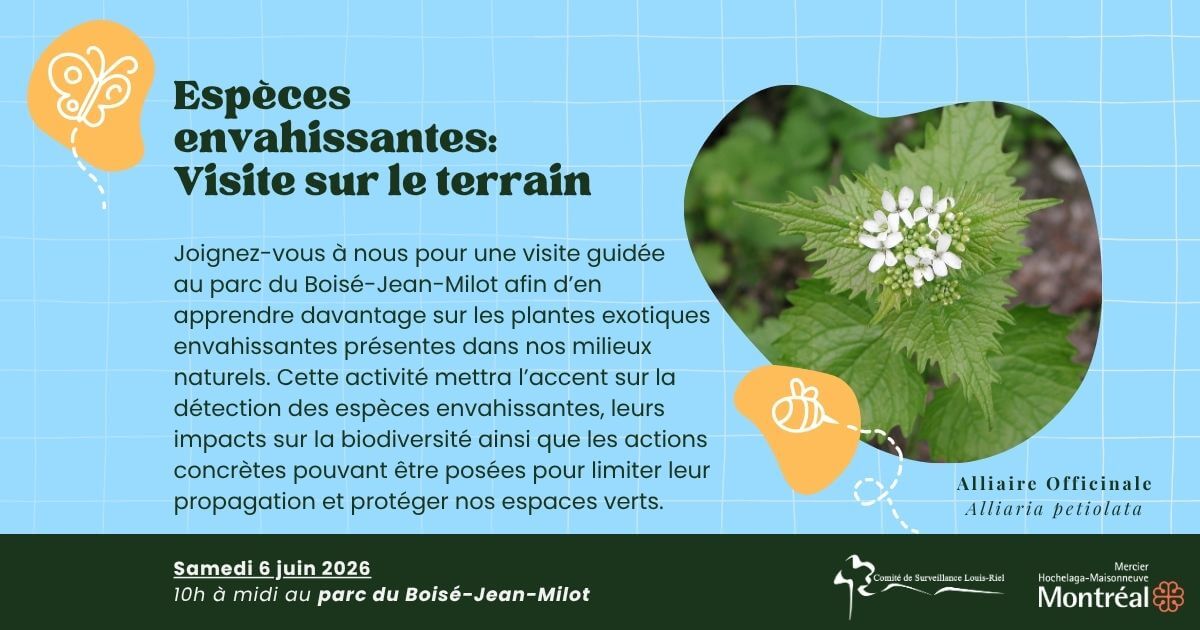 Image de l'article Éspèces envahissantes : Visite sur le terrain