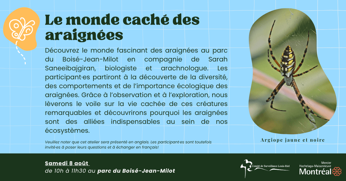 Image de l'article Le monde caché des araignées
