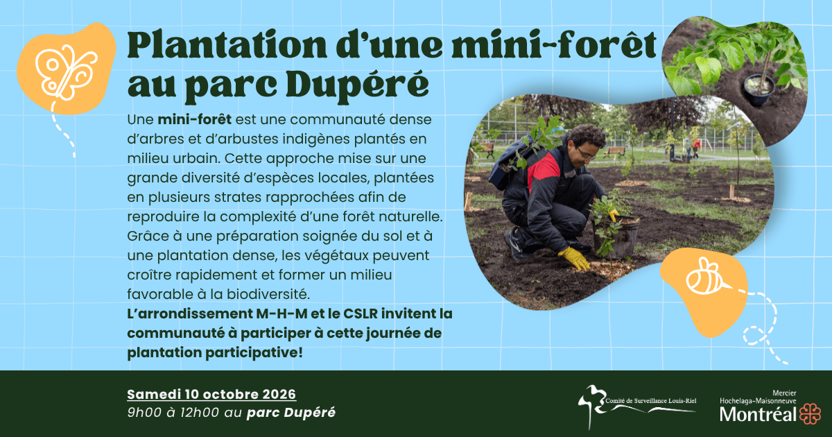 Image de l'article Plantation d’une mini-forêt au parc Dupéré